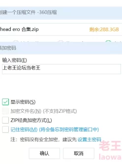 <b style='color: red;'>[已失效] </b>[自行打包] Buckethead ero 合集 [1V+2.7G][百度盘]